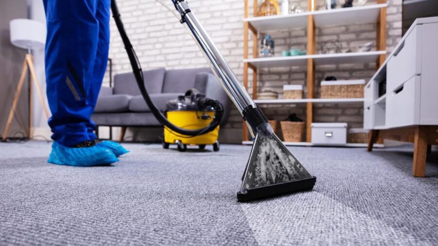 Professional Carpet Cleaning For Removing Pests Lurking in Your Carpets!