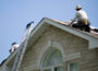 Saving Time and Money with Expert Roof Repair in Toronto