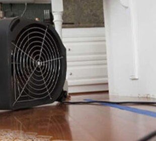 Safeguarding Spokane The Importance Of Water Damage Restoration Services
