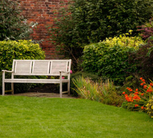 How to Improve Your UK Garden in Winter