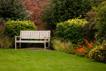 How to Improve Your UK Garden in Winter