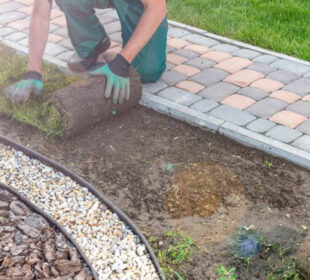 How to Design a Pond for Your Garden