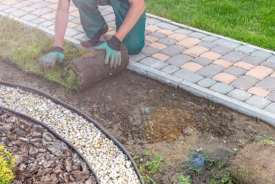 How to Design a Pond for Your Garden