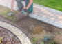 How to Design a Pond for Your Garden