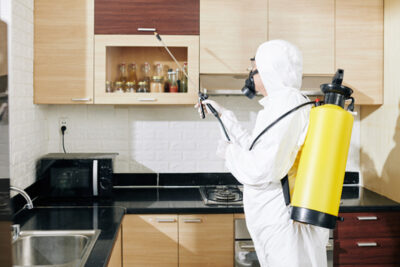 How to Get Reliable Pest Control Services in Singapore