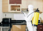 How to Get Reliable Pest Control Services in Singapore