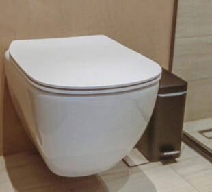 Can Smart Toilets Really Help Conserve Water
