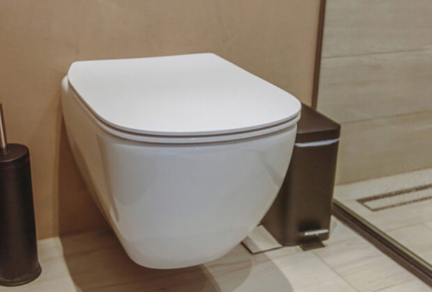 Can Smart Toilets Really Help Conserve Water