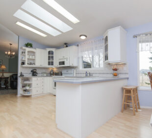 Whats Attracting Cockroaches to Homes