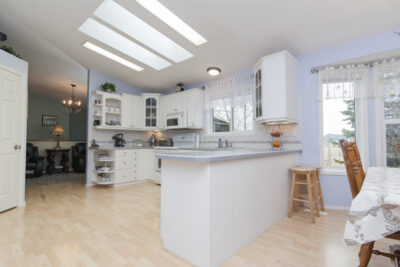 Whats Attracting Cockroaches to Homes