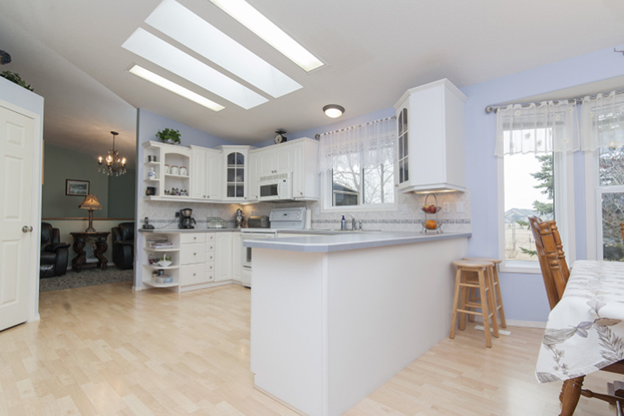 Whats Attracting Cockroaches to Homes