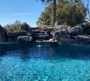 How to Choose the Right Pool Builder in the Sierra Nevada Foothills