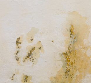 The Ultimate Guide to Banishing a Mouldy Ceiling and Reclaim Your Sanctuary