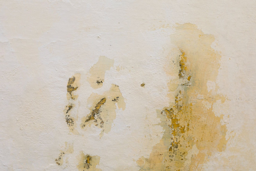 The Ultimate Guide to Banishing a Mouldy Ceiling and Reclaim Your Sanctuary