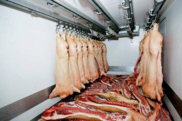 High Quality Fruits and Vegetables Cold Storage Built by China Service Teams