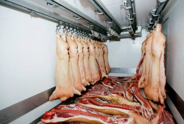 High Quality Fruits and Vegetables Cold Storage Built by China Service Teams