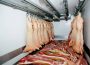 High Quality Fruits and Vegetables Cold Storage Built by China Service Teams