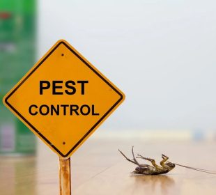 Pest Control Requirements for Restaurants and Food Businesses