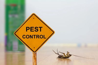 Pest Control Requirements for Restaurants and Food Businesses
